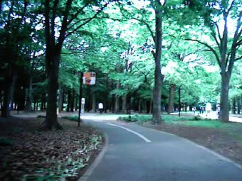 yoyogi_cycle.jpg